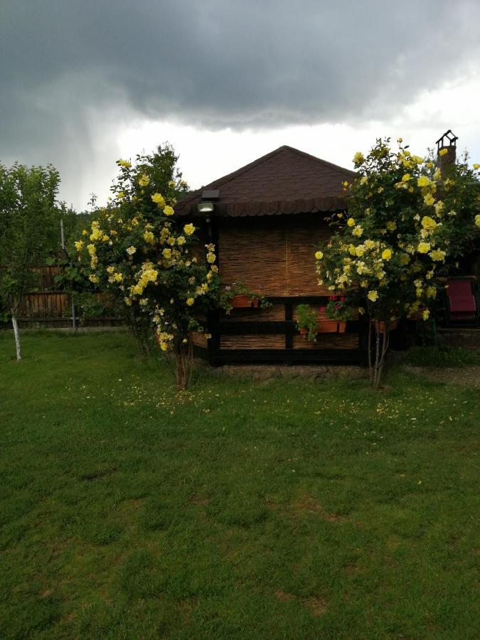 Villa Conacul Caterinei Casuta Din Povesti Polovragi Exterior foto