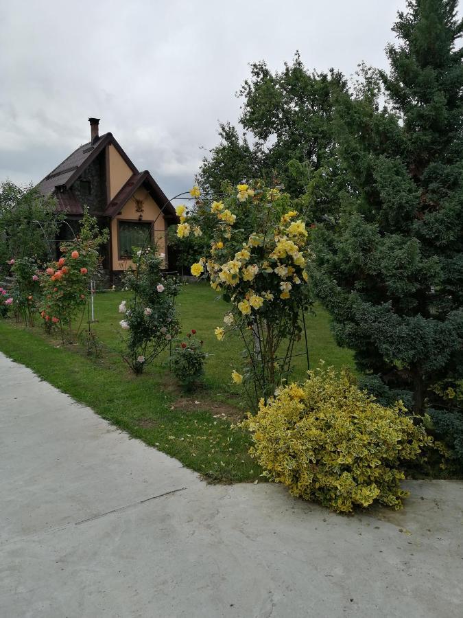 Villa Conacul Caterinei Casuta Din Povesti Polovragi Exterior foto