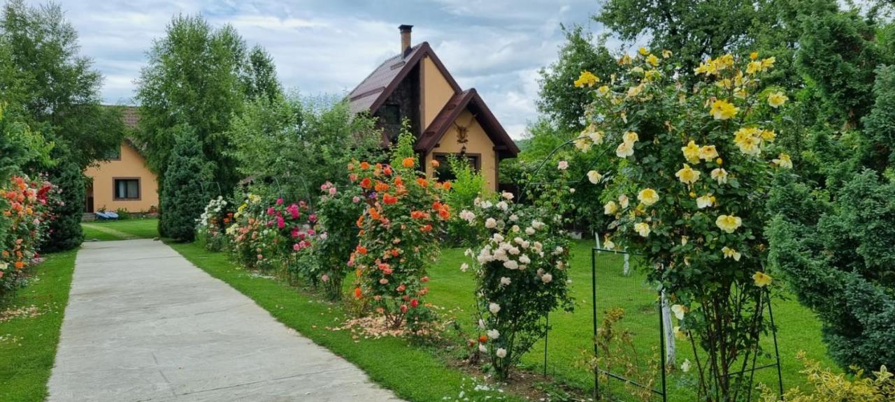 Villa Conacul Caterinei Casuta Din Povesti Polovragi Exterior foto