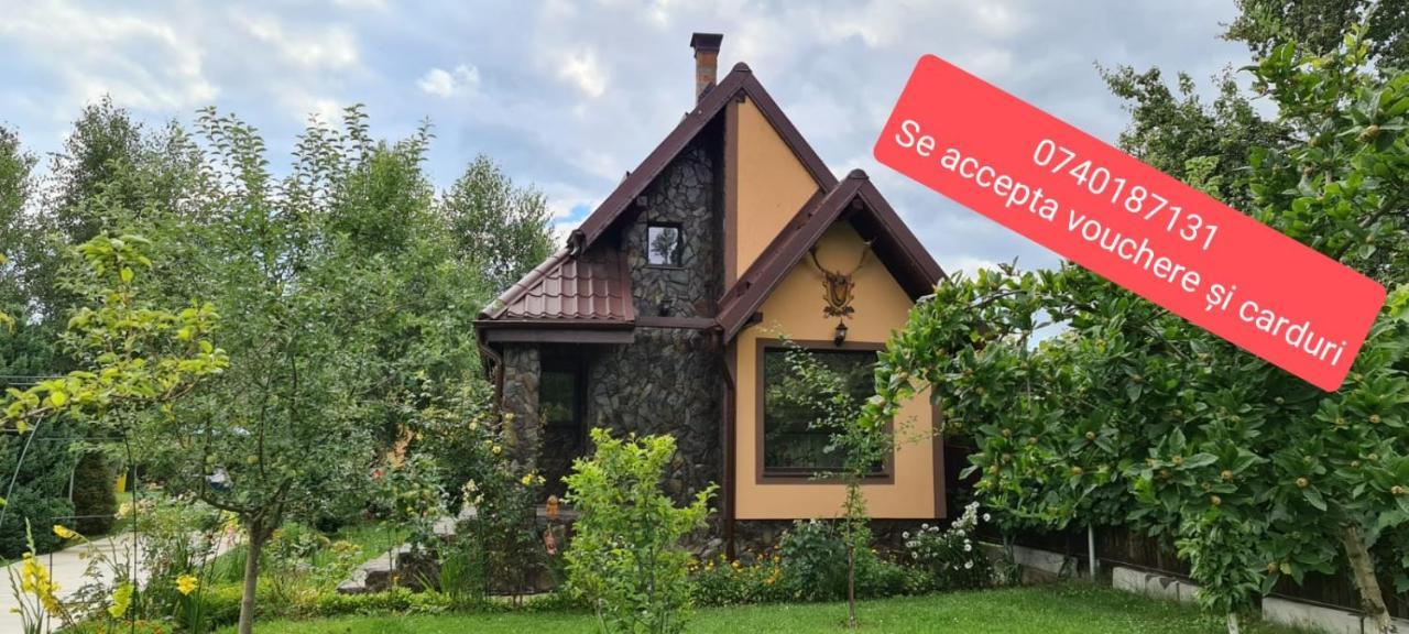 Villa Conacul Caterinei Casuta Din Povesti Polovragi Exterior foto