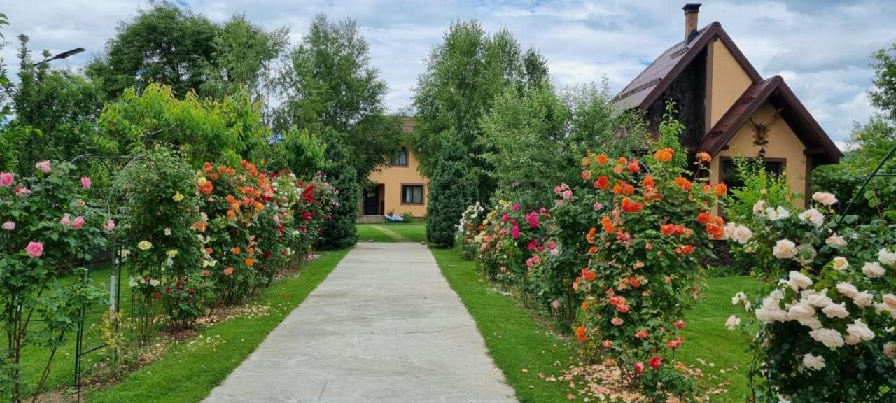 Villa Conacul Caterinei Casuta Din Povesti Polovragi Exterior foto