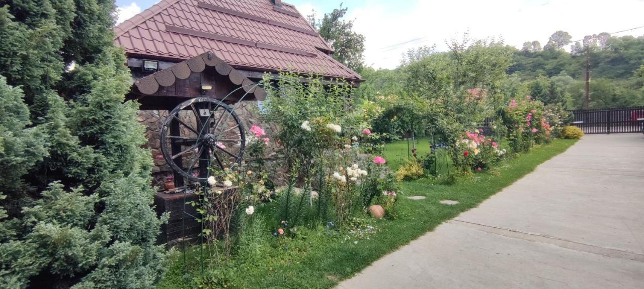 Villa Conacul Caterinei Casuta Din Povesti Polovragi Exterior foto